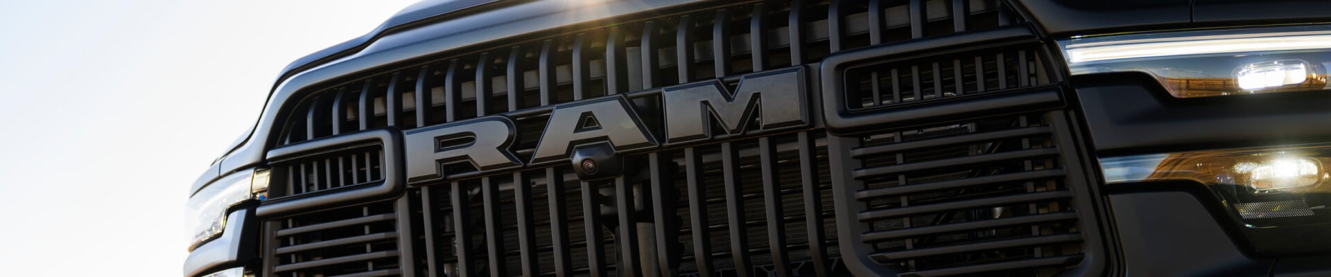 Close-up of Ram Logo